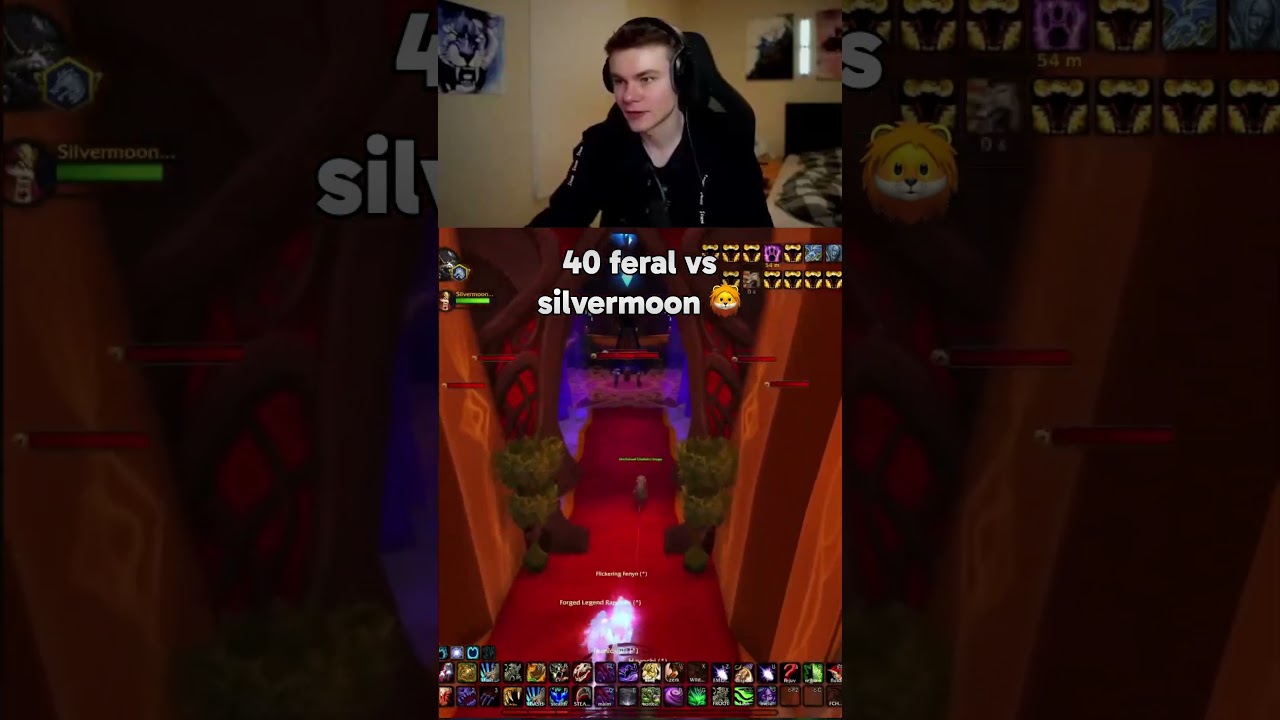 700% Movement Speed 40 Feral Druid raid 🦁