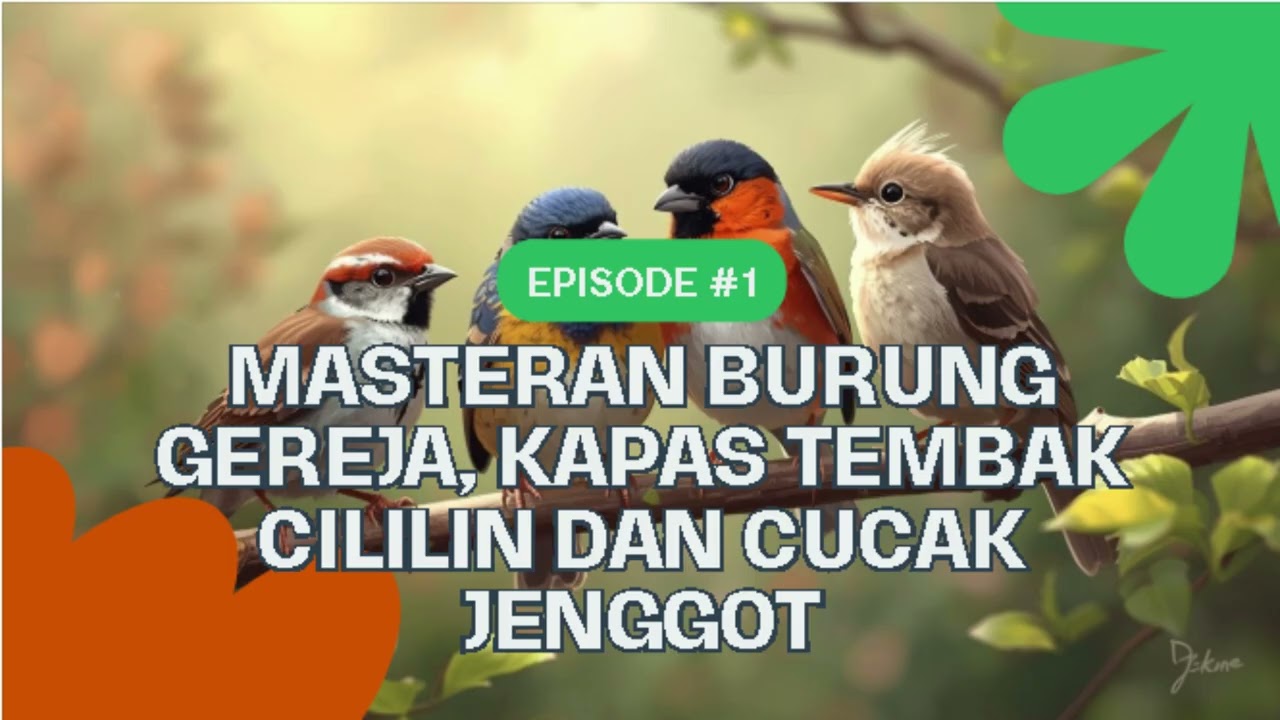 MASTERAN BURUNG