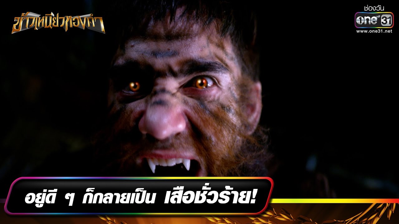 อยู่ดี ๆ ก็กลายเป็นเสือชั่วร้าย! | รวมซีนเด็ดประจำสัปดาห์ ข้าวเหนียวทองคำ EP.10-14 | one31