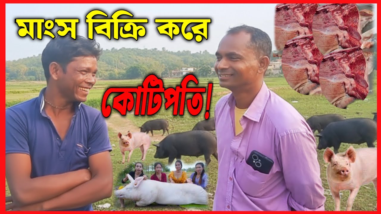 শূকরের মাংস বিক্রি করে কোটি টাকা ইনকাম, কিভাবে সম্ভব ? Viral blogs 
