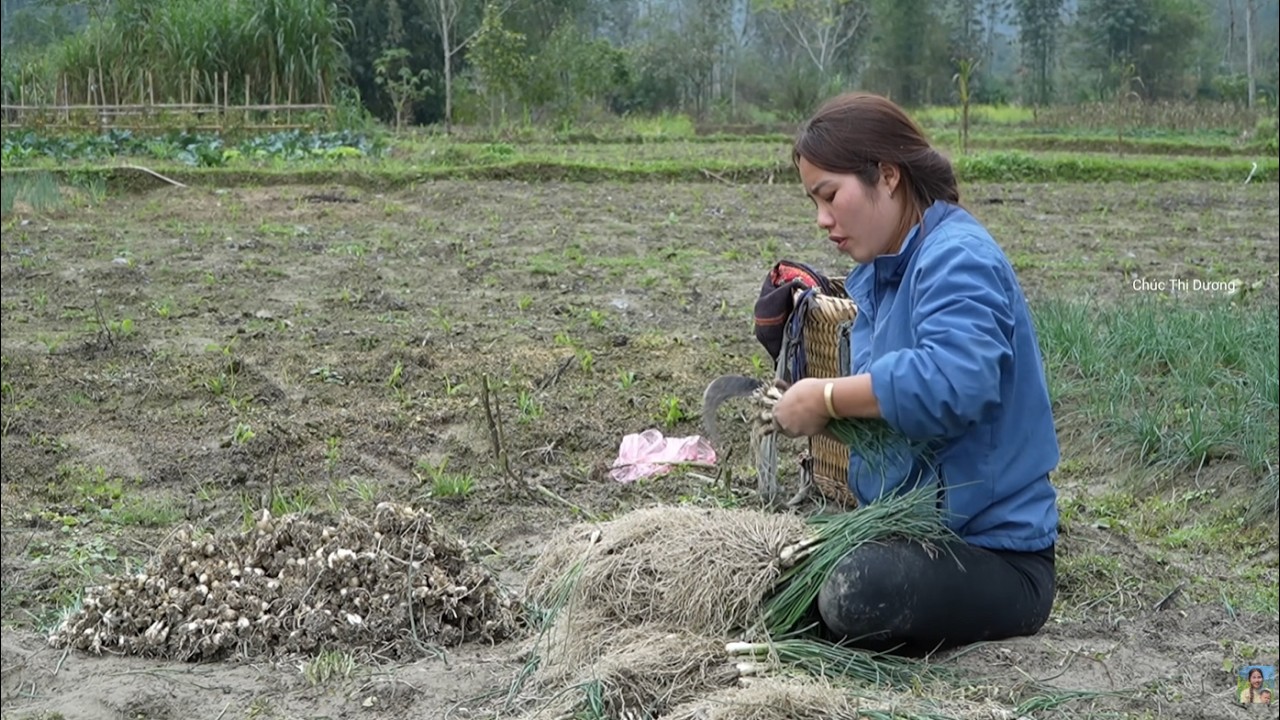 Harvesting Green Onions in the Field with My Kids – Selling at the Market and Caring Farm Animals