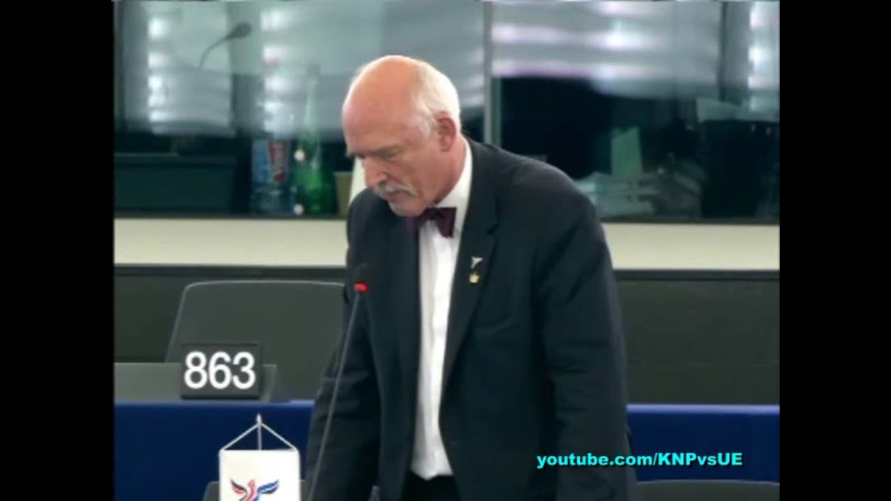 [LEKTOR PL] Janusz Korwin-Mikke na sesji plenarnej 13.01.2015