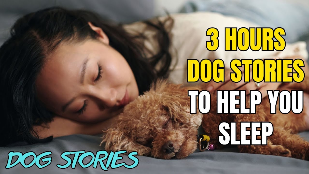 The CUTEST Bedtime Story - Heartwarming Dog Story - 2 Hours of Relaxing Tales to Help You Sleep