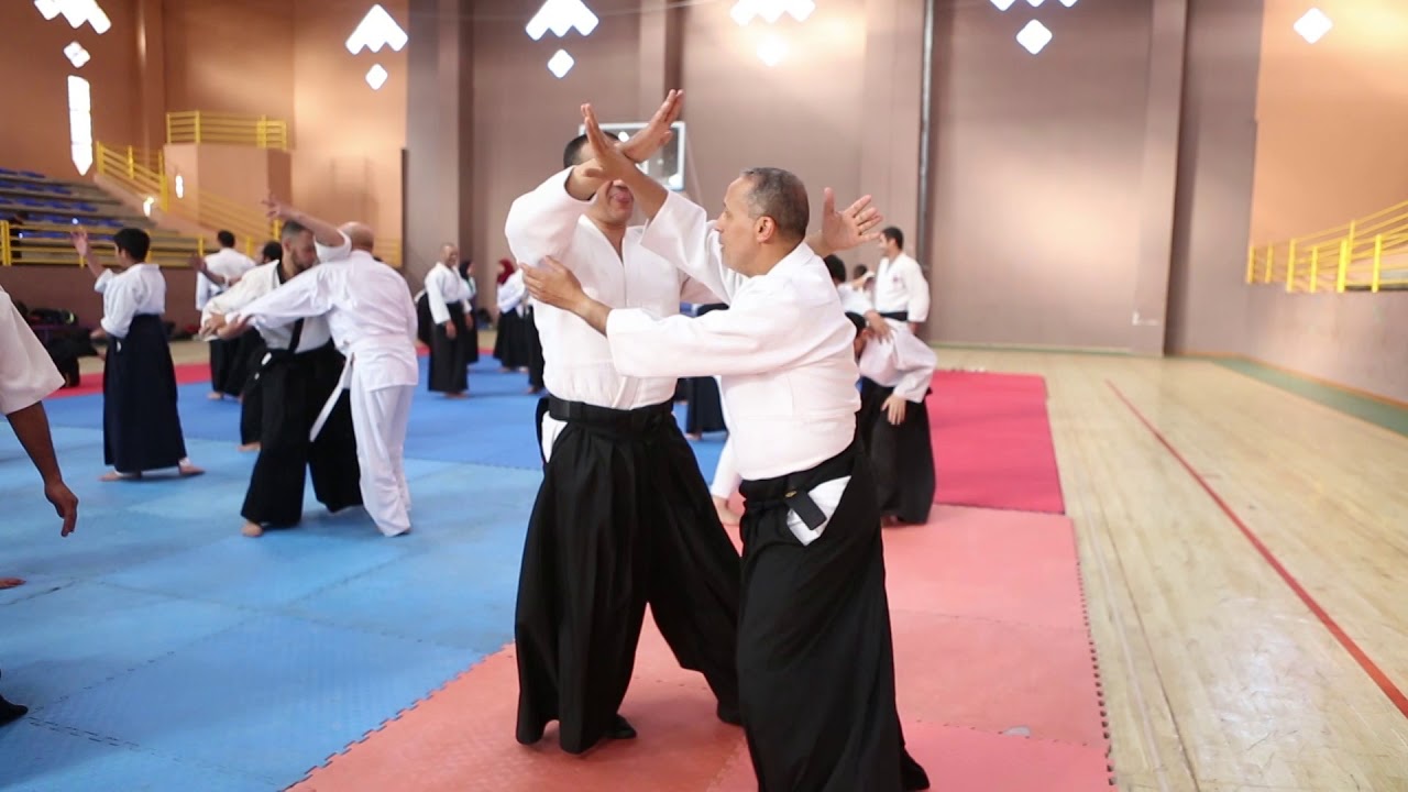 stage national d'aikido 09 -10/03/2019