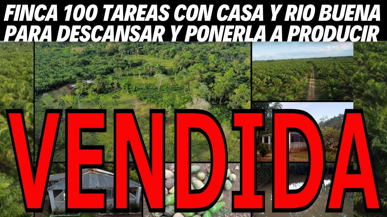 Finca de 100 tareas con Casa y con río buena para Vivir Descansar  y ponerla a producir