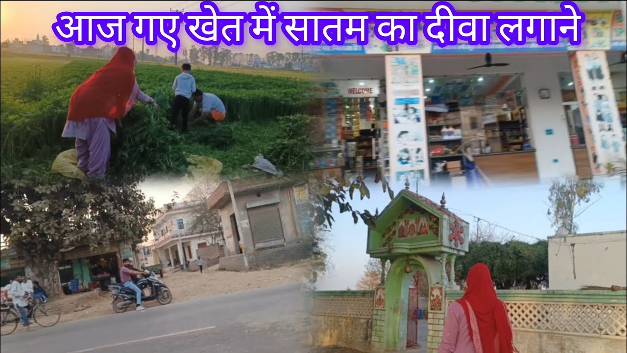 Anju redhu.vlog 🥰आज खेत से आए घर पैदल चलकर रस्ते में मिली एक फ्रेंड दोनों ने की खूब सारी बातें 🥰🥰