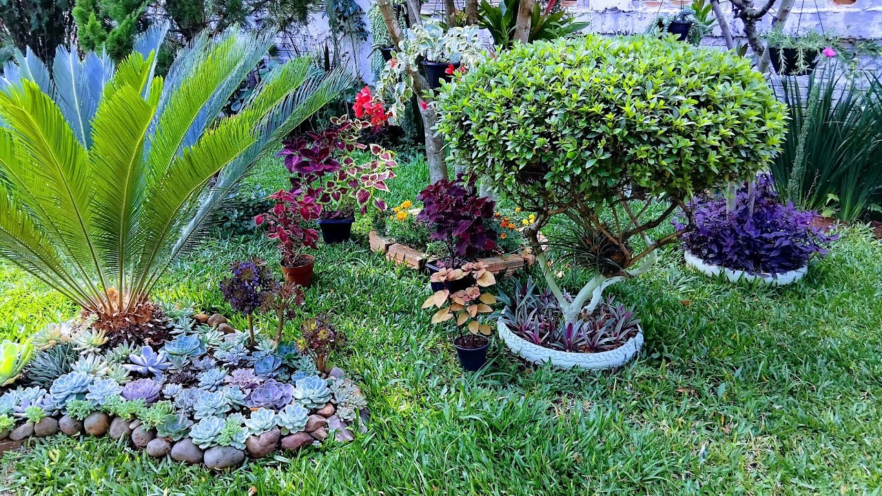 Como está meu jardim dos sonhos o verde é incrível.responder uma pergunta 🤔