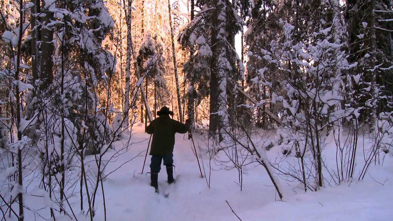 Sipoonkorpi - From Rock Forest to Manor Houses