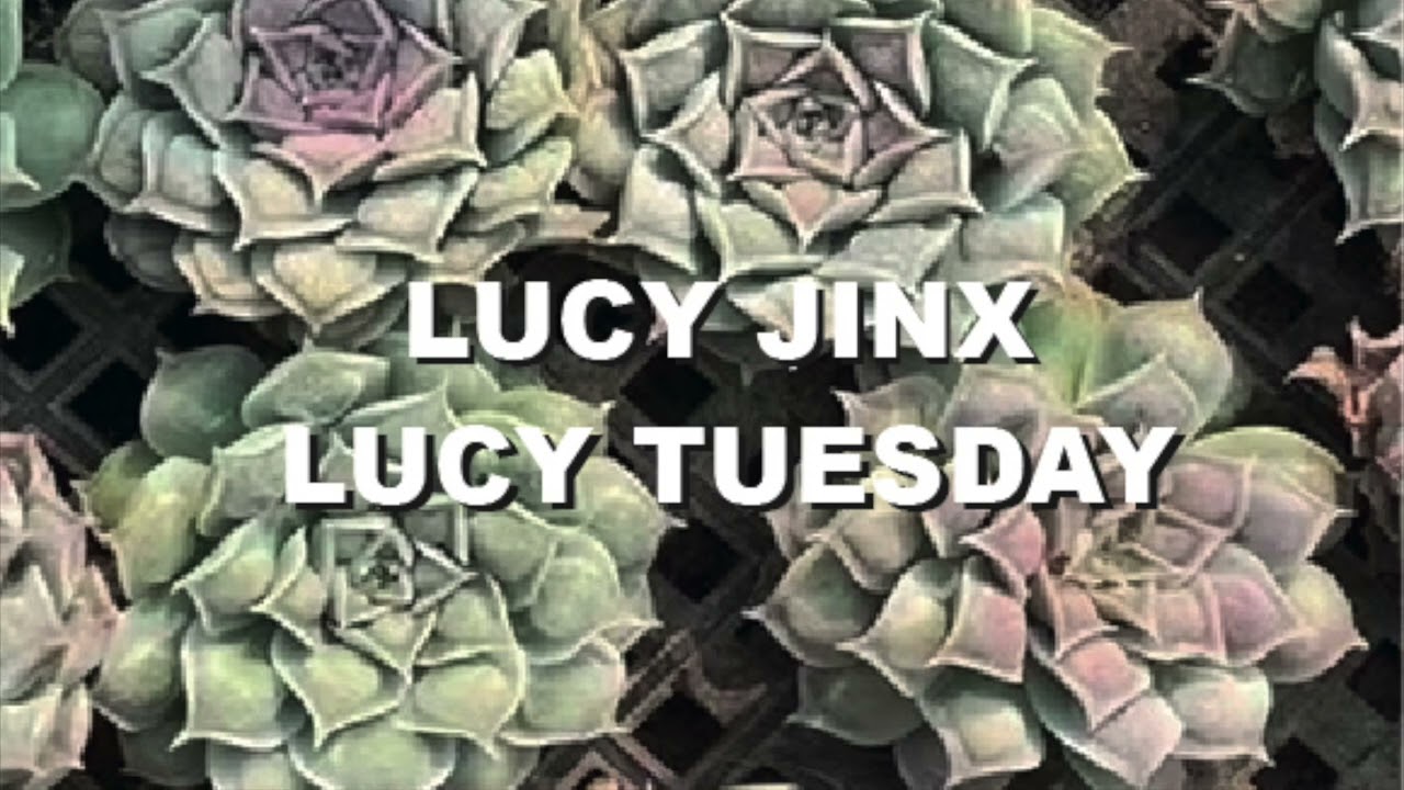 Lucy Jinx Lucy Tuesday