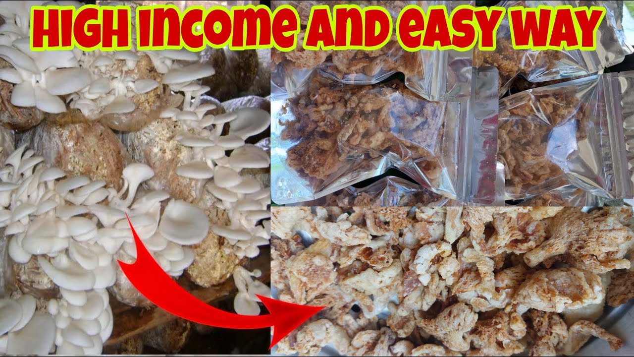 How to Make Oyster Mushroom Chicharron | Complete Guide