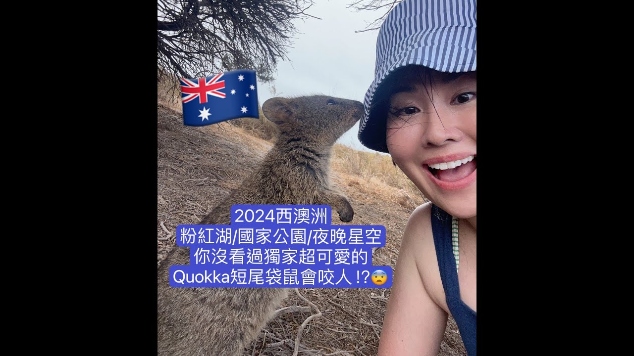2024西澳羅特尼斯島Rottenest Island獨家超可愛微笑短尾袋鼠Quokka會咬人?!跟法國女生一起腳踏車環島/玩西澳洲伯斯PERTH卡爾巴里國家公園 Kalbarri/ 粉紅湖/自然之窗