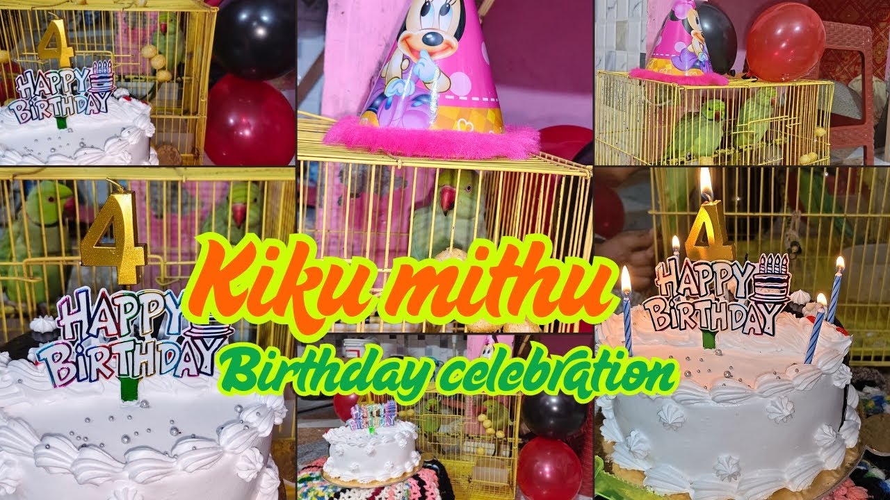 Kiku Mithu Ka Kiya Birthday Celebration 🎉! Birthday celebration Vlog 🥳! @Theshwetaworld01 #dailyvlog
