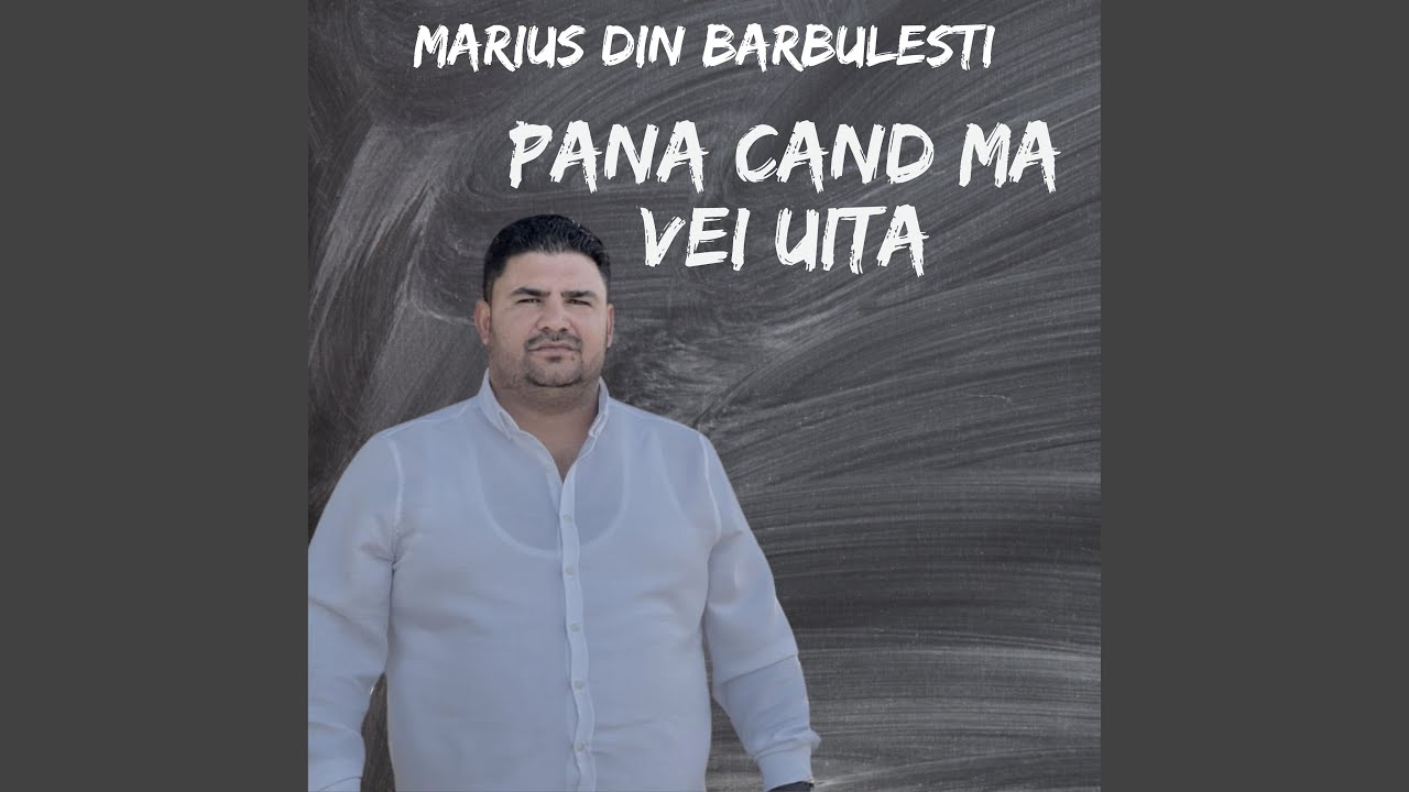 Pana cand ma vei uita