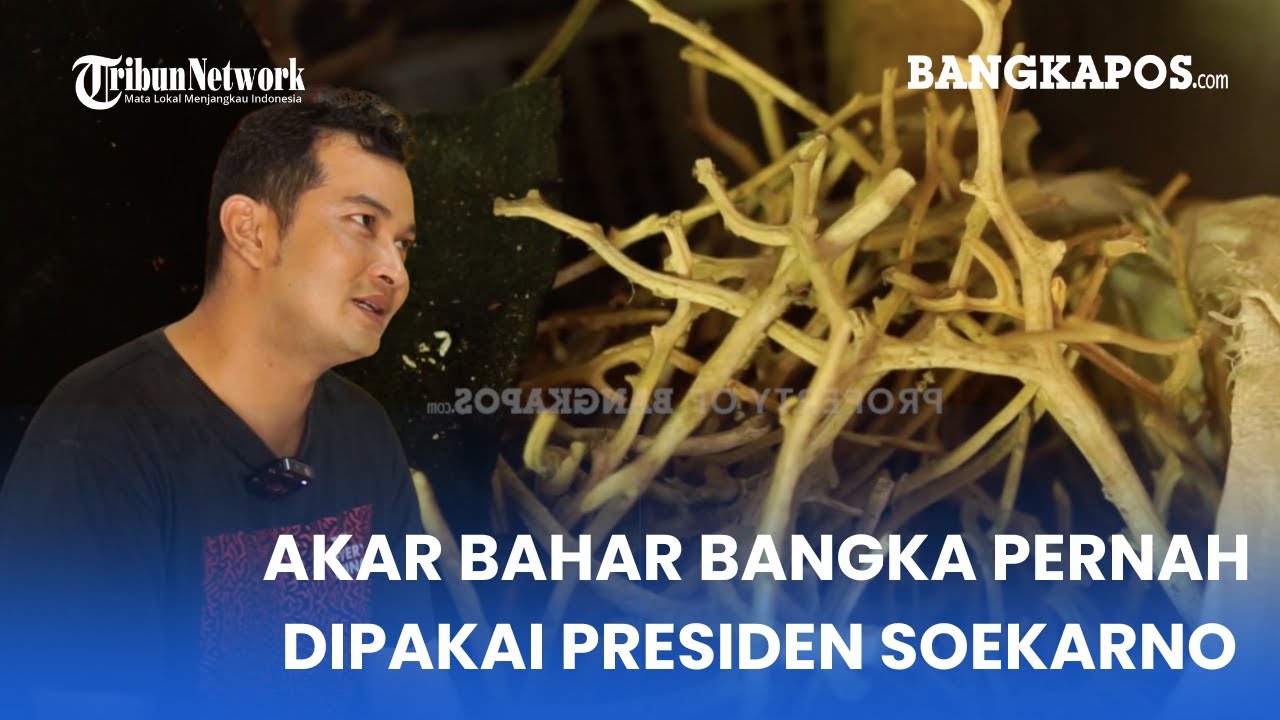 Sosok Ariasa Perajin Akar Bahar Bangka, Mampu Tembus Pasar Mancanegara