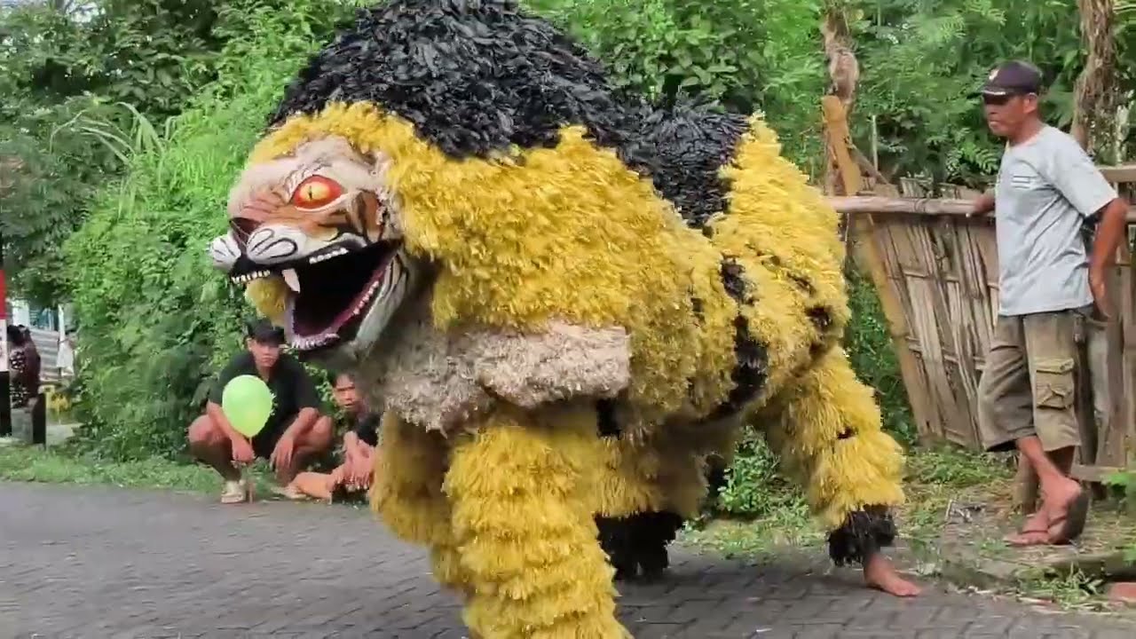 Macan ontal #jaranan cilik Porong Boyolangu