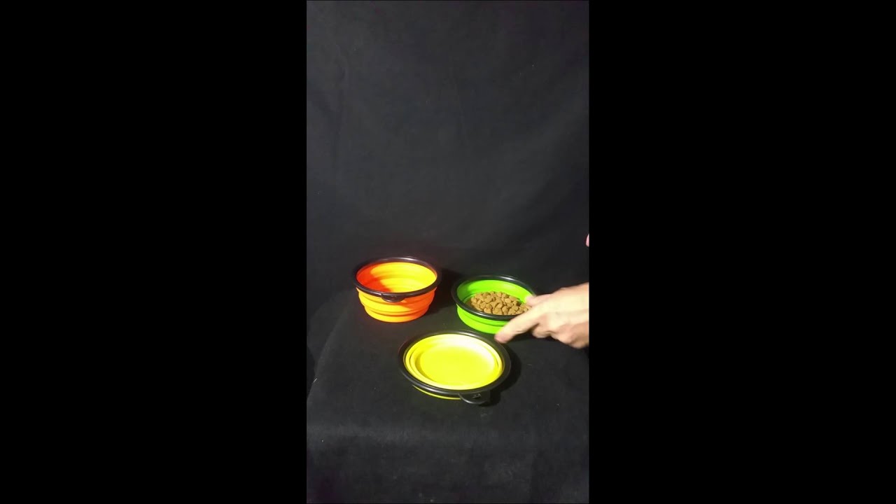Travel Dog Bowl Collapsible (Set of 3)