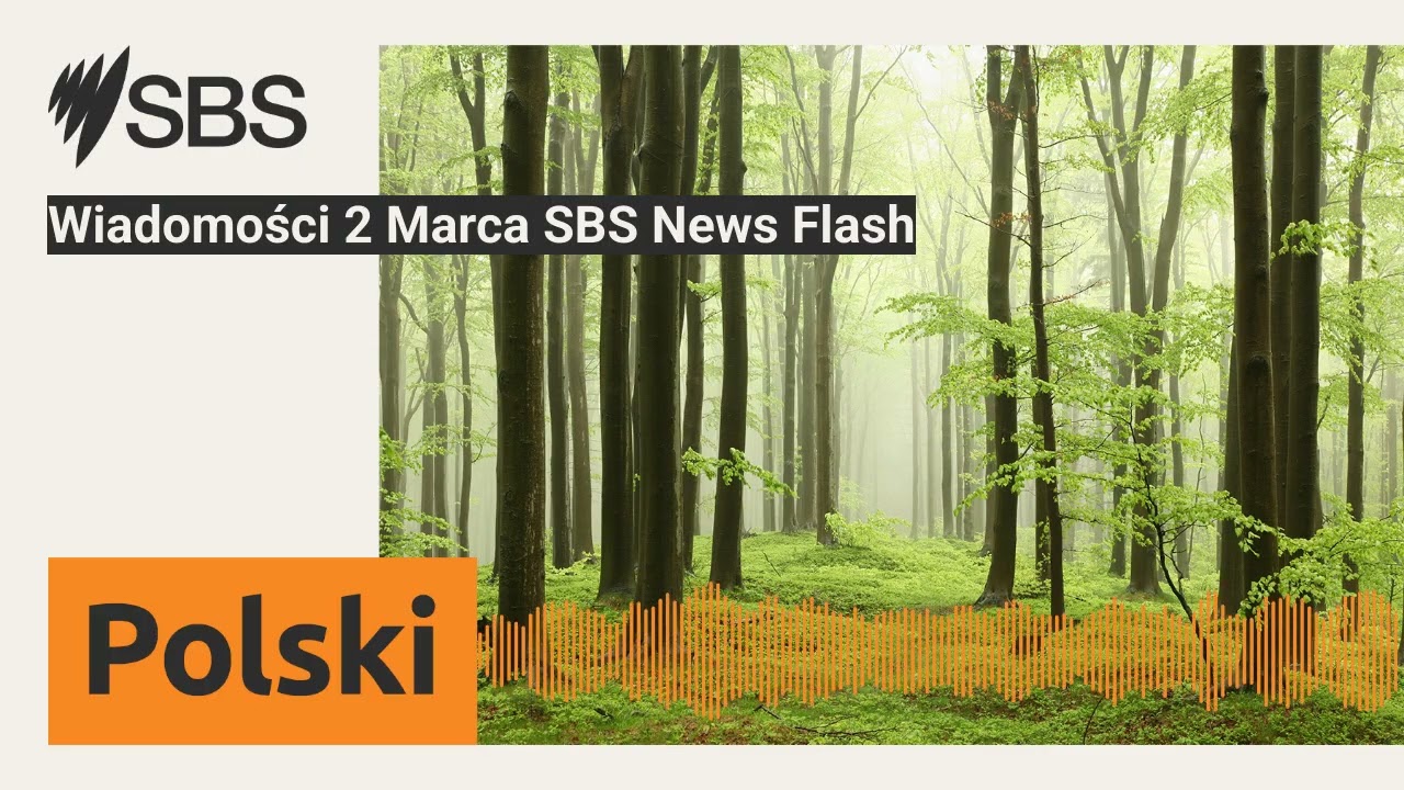 Wiadomości 2 Marca SBS News Flash | SBS Polish - SBS po polsku