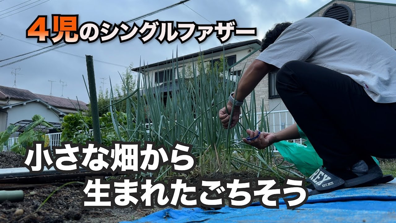 【４児のシンパパ】畑で採れたネギで、家族と過ごすたこ焼きの夜