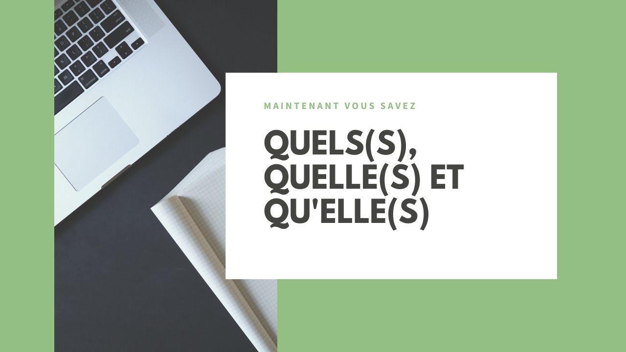 Les Différences entre Quel(s), Quelle(s) et Qu'elle(s) : CM2 : Orthographe