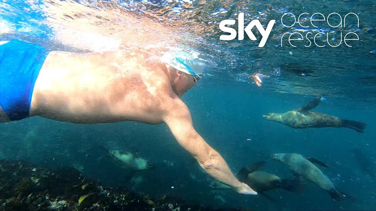 The Long Swim