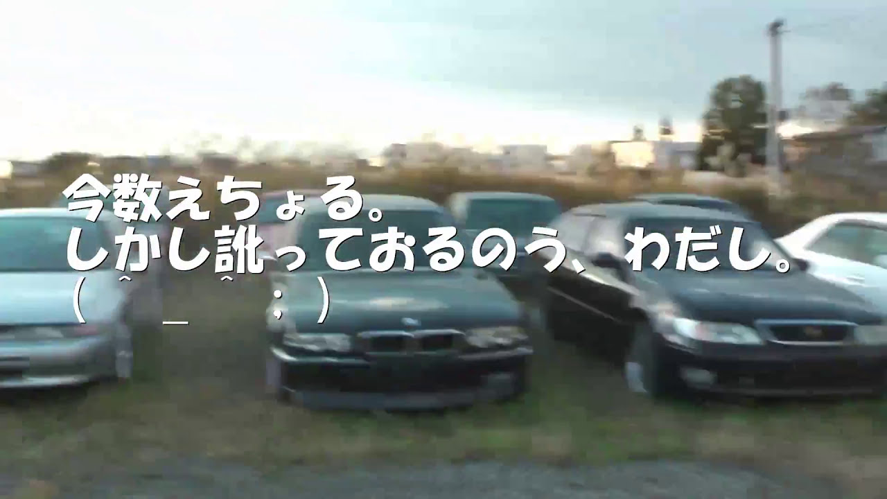 ヤフオクでで集めた車５０数台おおざっぱに紹介してみます。＼(^o^)／