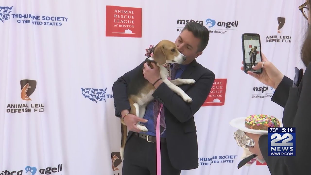 Advocates push to stop unnecessary animal testing in Massachusetts