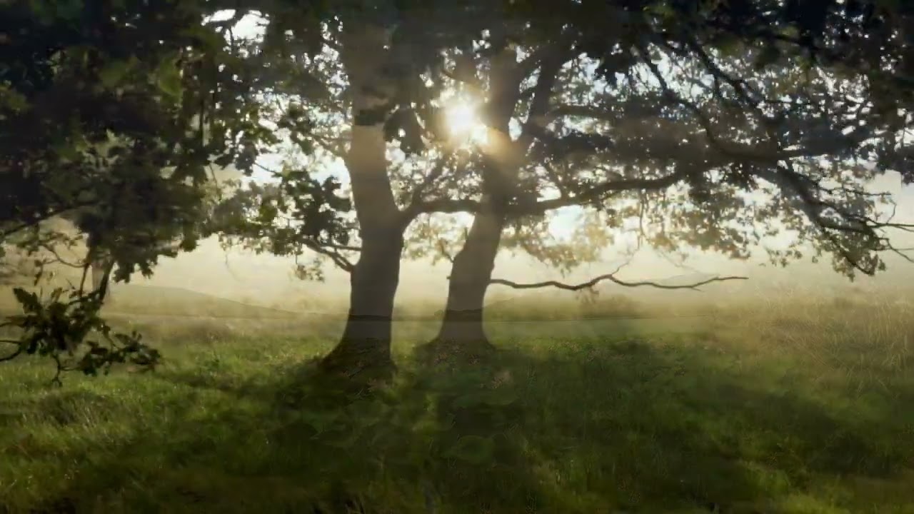 Durr-e-Sameen - Nishan Ko Daikh Kar Inkaar - Urdu Nazm (poem)