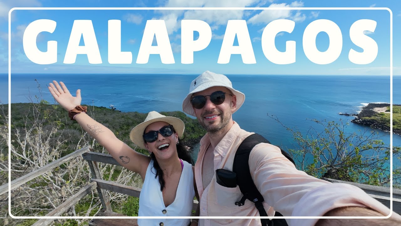TOUR 360 en Galapagos... Vale la pena? Nadamos con tiburones, lobos marinos y rayas!