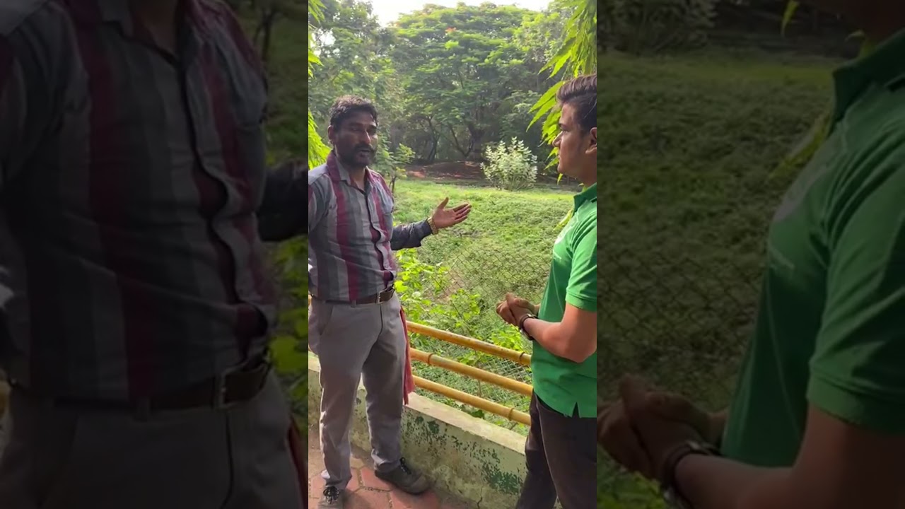 Live Lion Feeding | Indore Zoo | ARPF