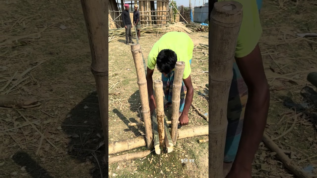 China is cracking bamboo sticks