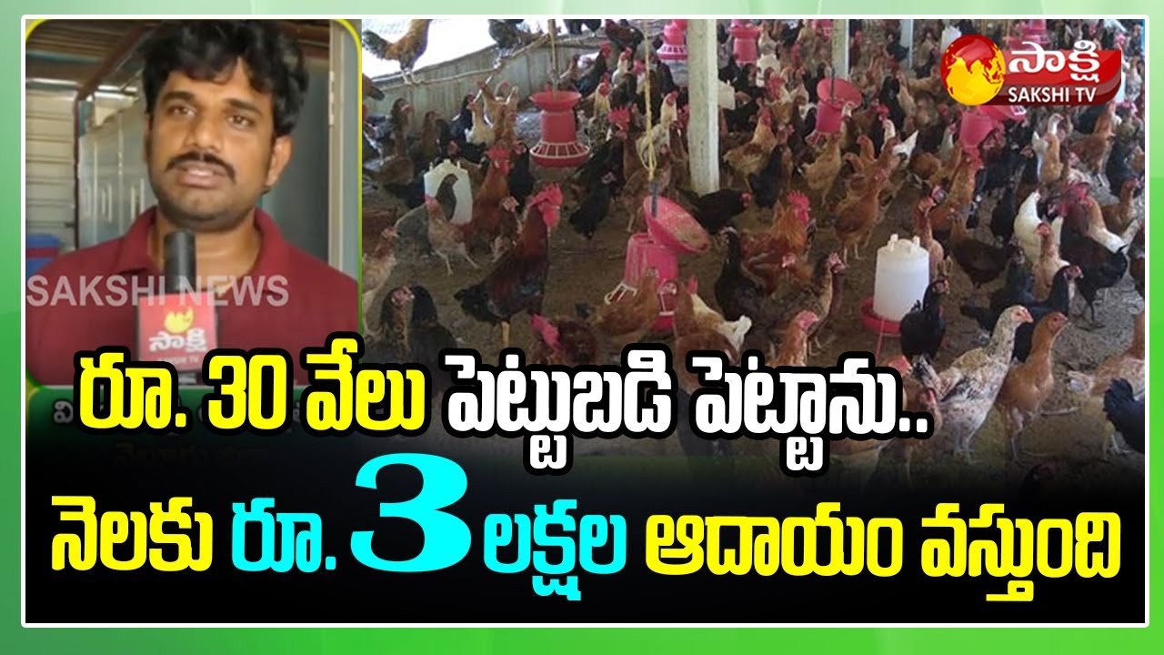 నాటు కోళ్ల పెంపకం..లాభదాయకం : Natu Kodi Farming : Nellore Young Farmer Success Story | Sagubadi