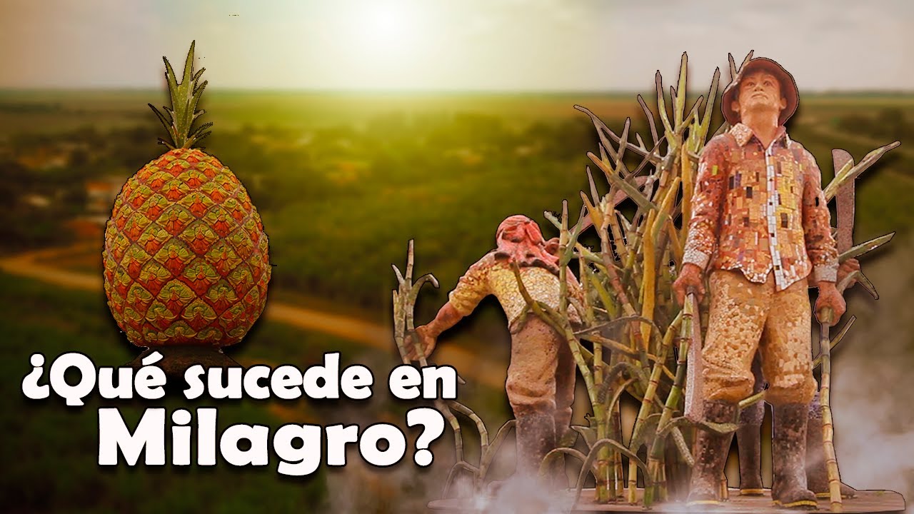 Milagro | ¿Qué está pasando en la ciudad de las piñas?
