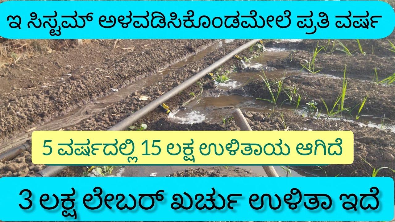 ಕಬ್ಬು ಬೆಳೆಗೆ pipe Line Trick,ಎಲ್ಲಾ ಬೆಳೆಗು ಬರತ್ತೆ| Labour 90% ಕಡಿಮೆ | Smart Irrigation |Farmer Hack |