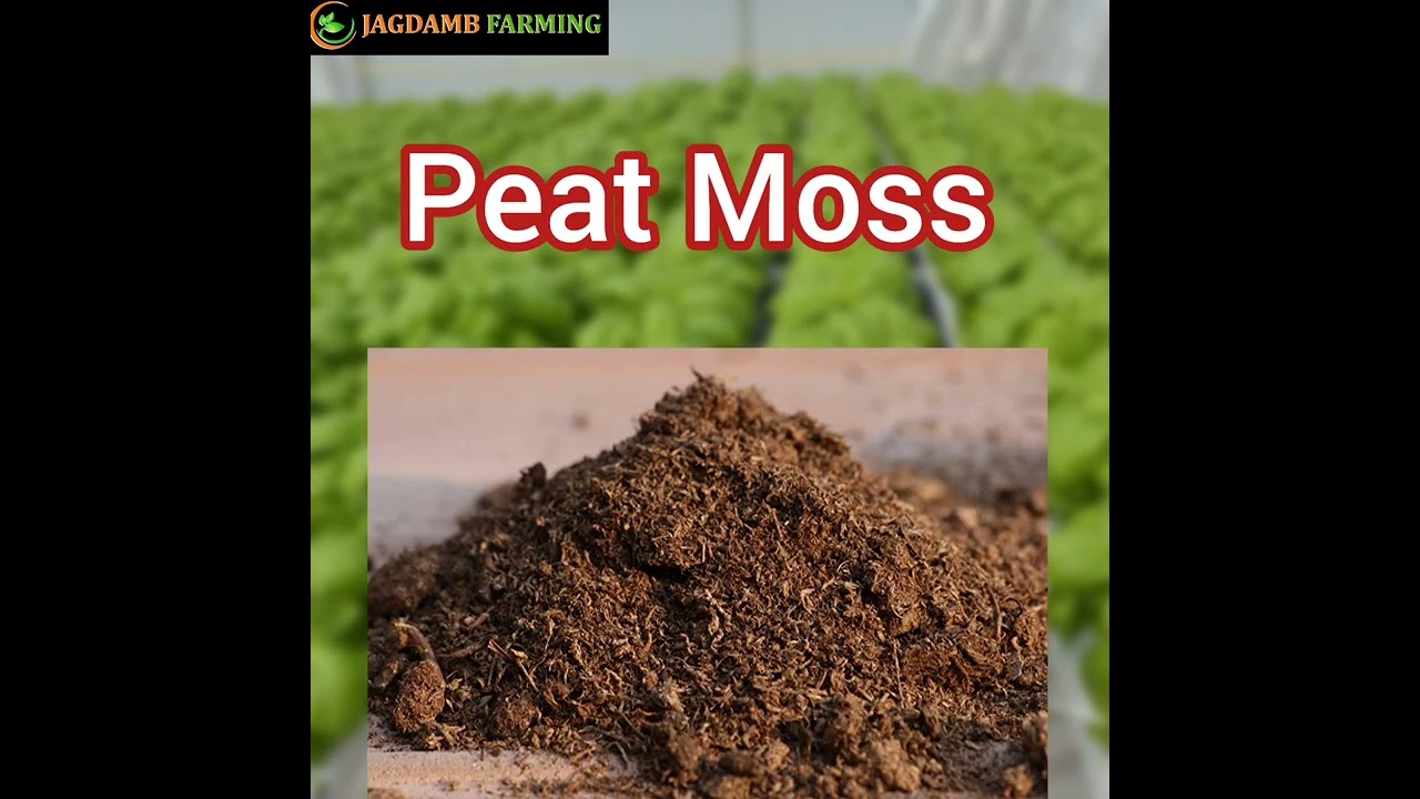 Hydroponic Growing Media | Jagdamb Hydroponic Farming