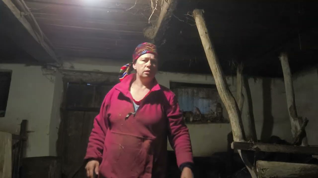Чого коза не годує всіх козенят 