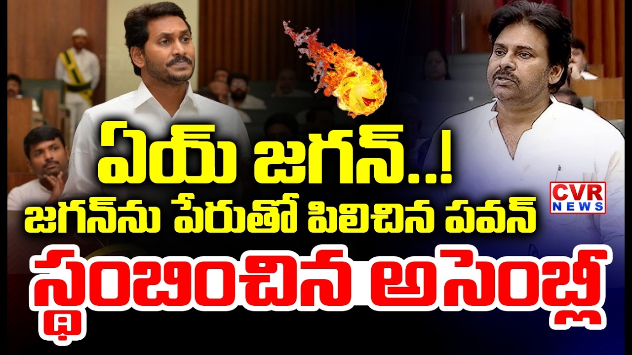 ఏయ్ జగన్..! | Deputy CM Pawan Kalyan Shocking Comments On YS Jagan | CVR News