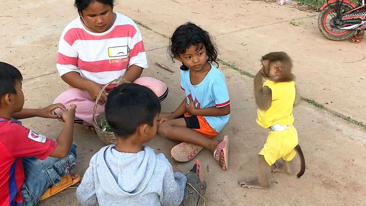 Smart Jason So Innocent Gentle Manner Ask To Eat Snack With Everyone