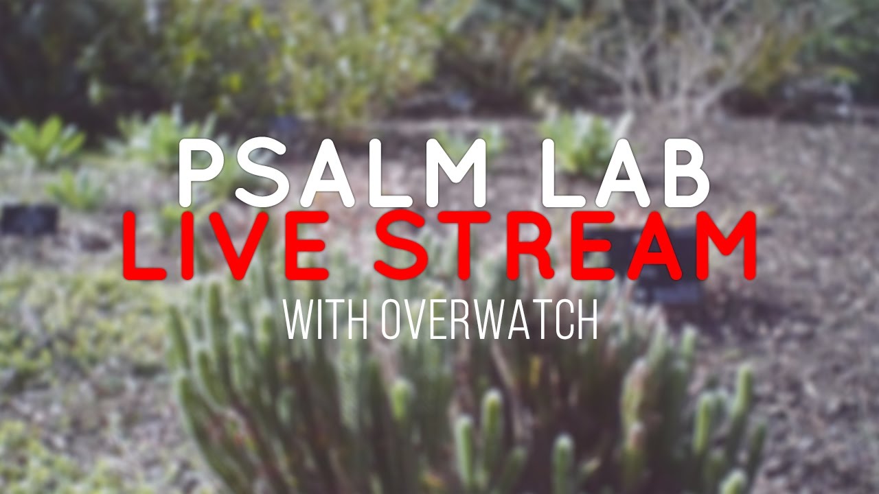 Psalm Lab | Overwatch Live Stream