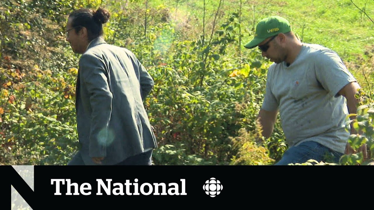 CBC News investigates human smuggling on the Quebec-N.Y. border