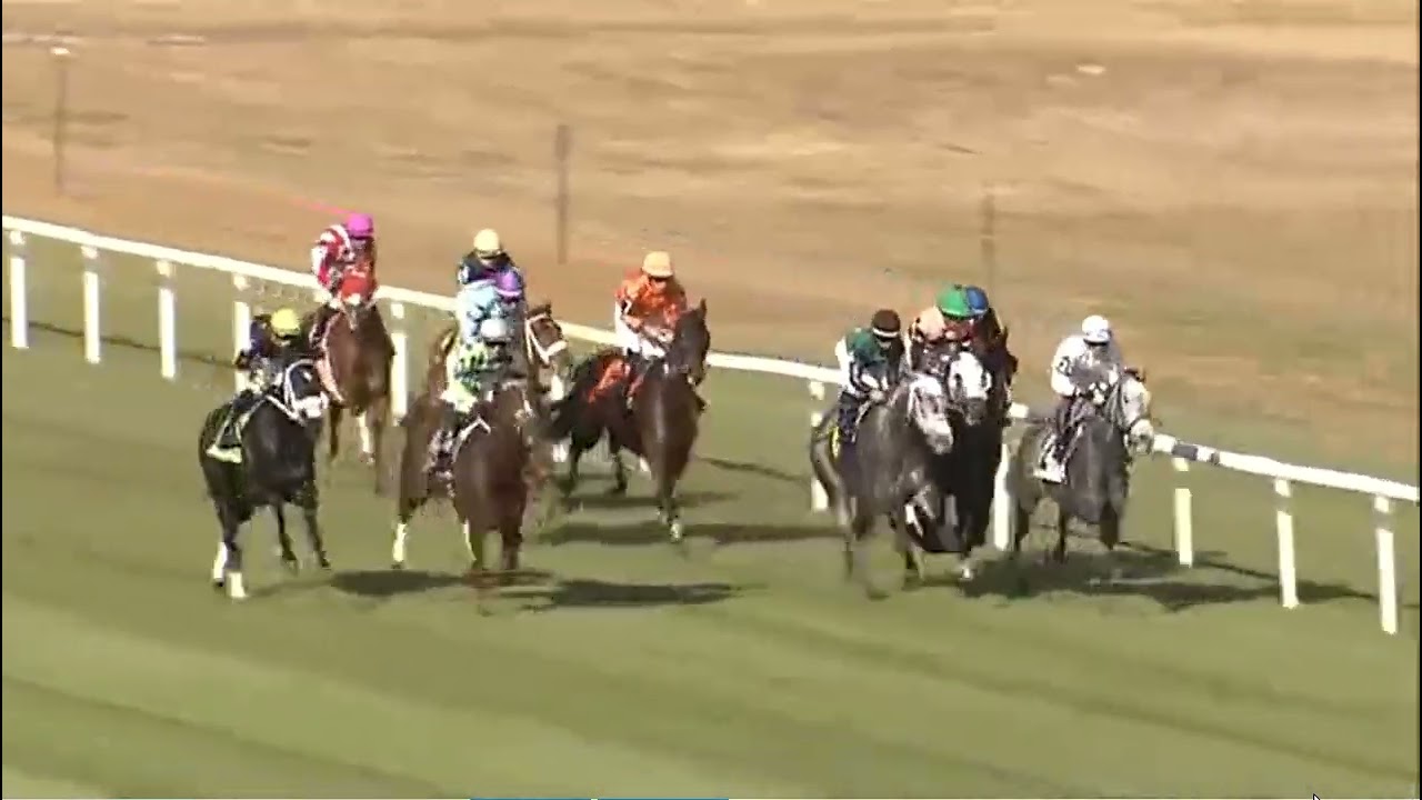 Tampa Bay Downs, Race 8  -12 FEB 2026