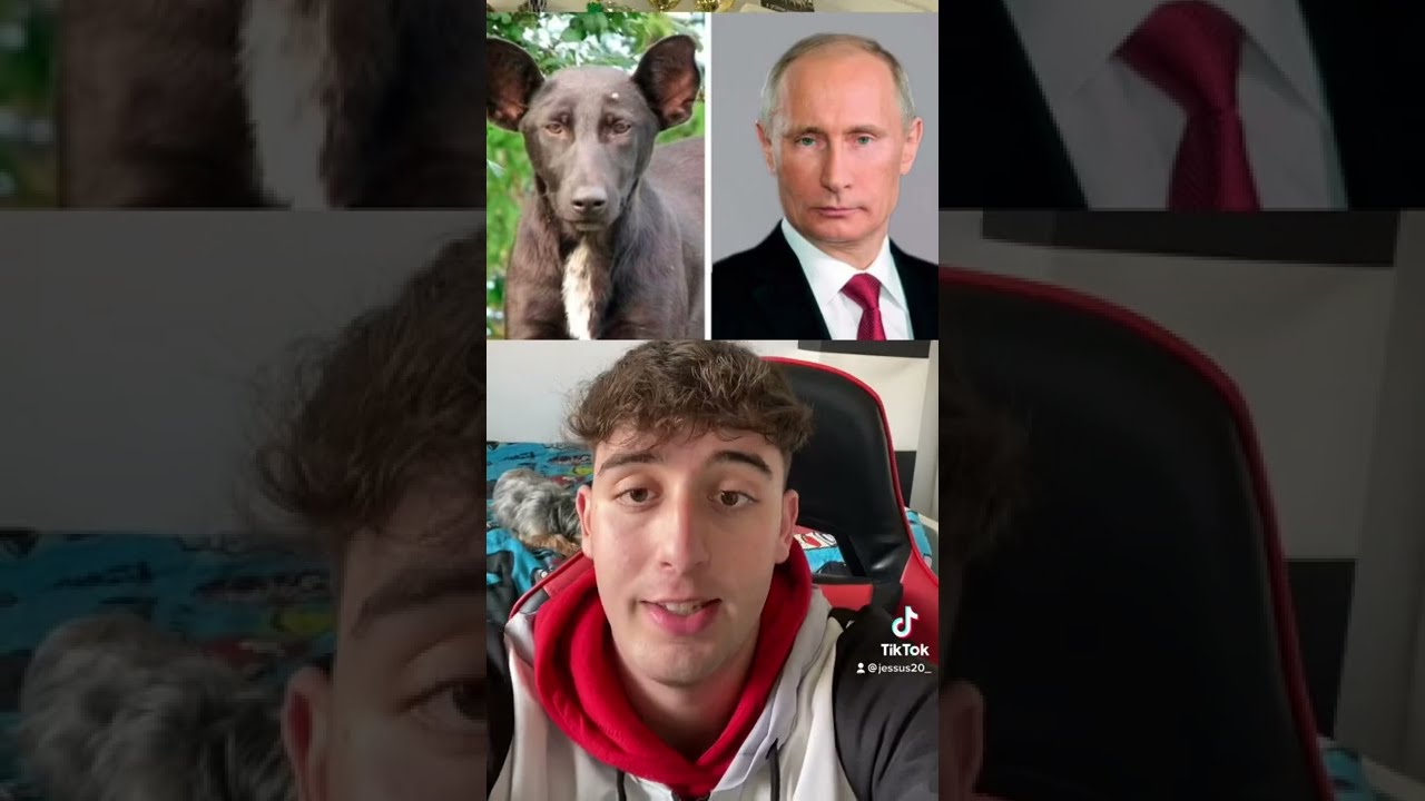 Solo los perros pueden escuchar este sonido🤯🐶