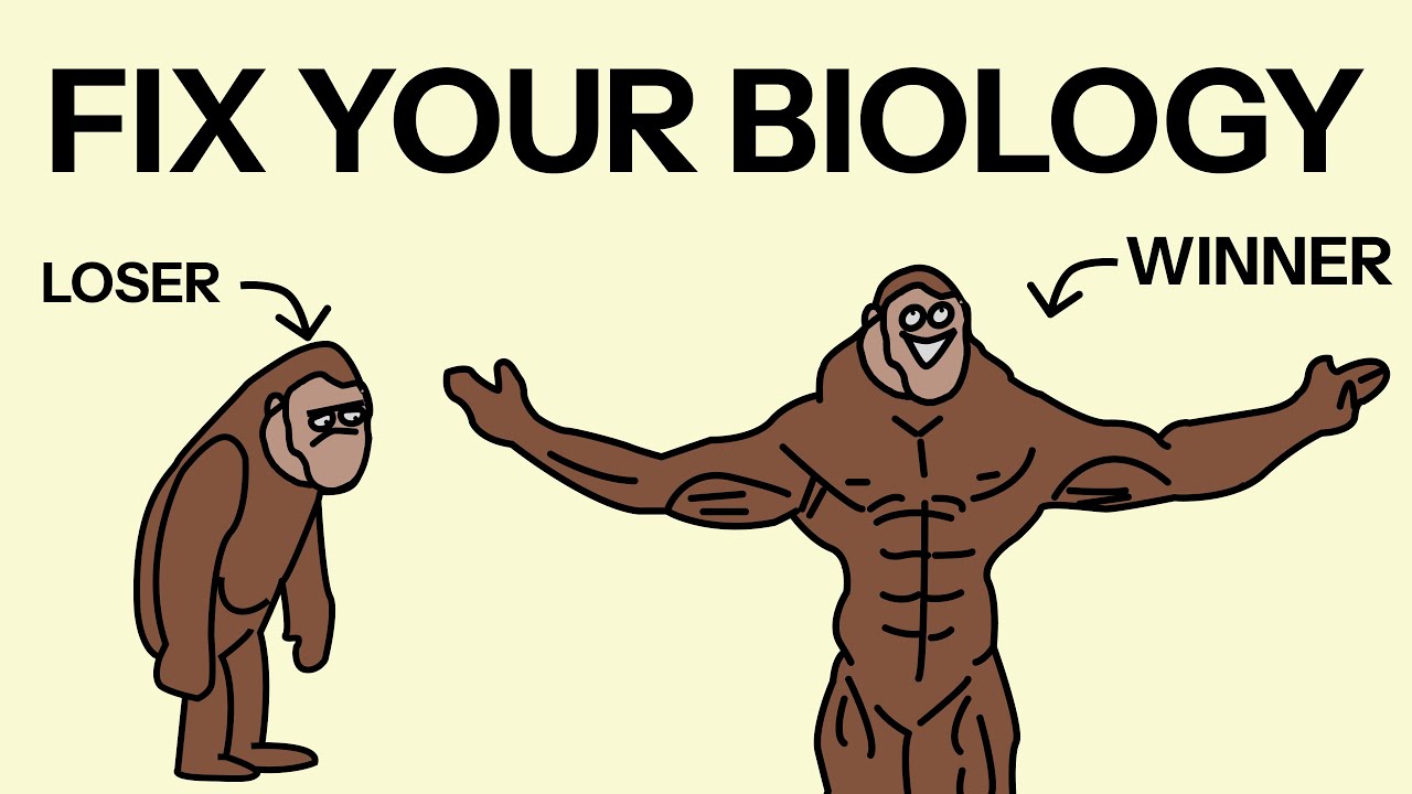 High Testosterone Is The Answer To Almost Everything