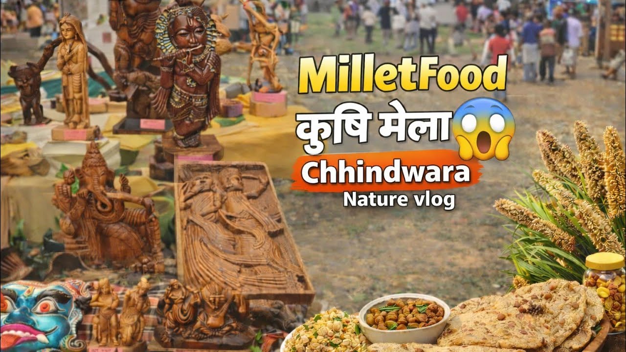 Millet Food Festival Chhindwara । गांव की खुशबू और मिलेट का स्वाद #millet #food #neture 