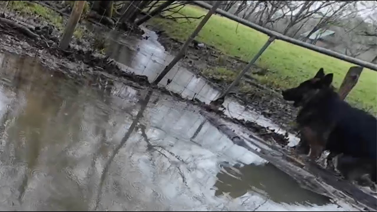 Flooded Paths, Muddy Boots, a Brew & a Few Bloopers | Winter Walk in Kent