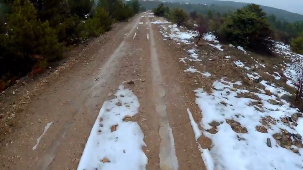 Tavşan Avı .Islandık ama...
