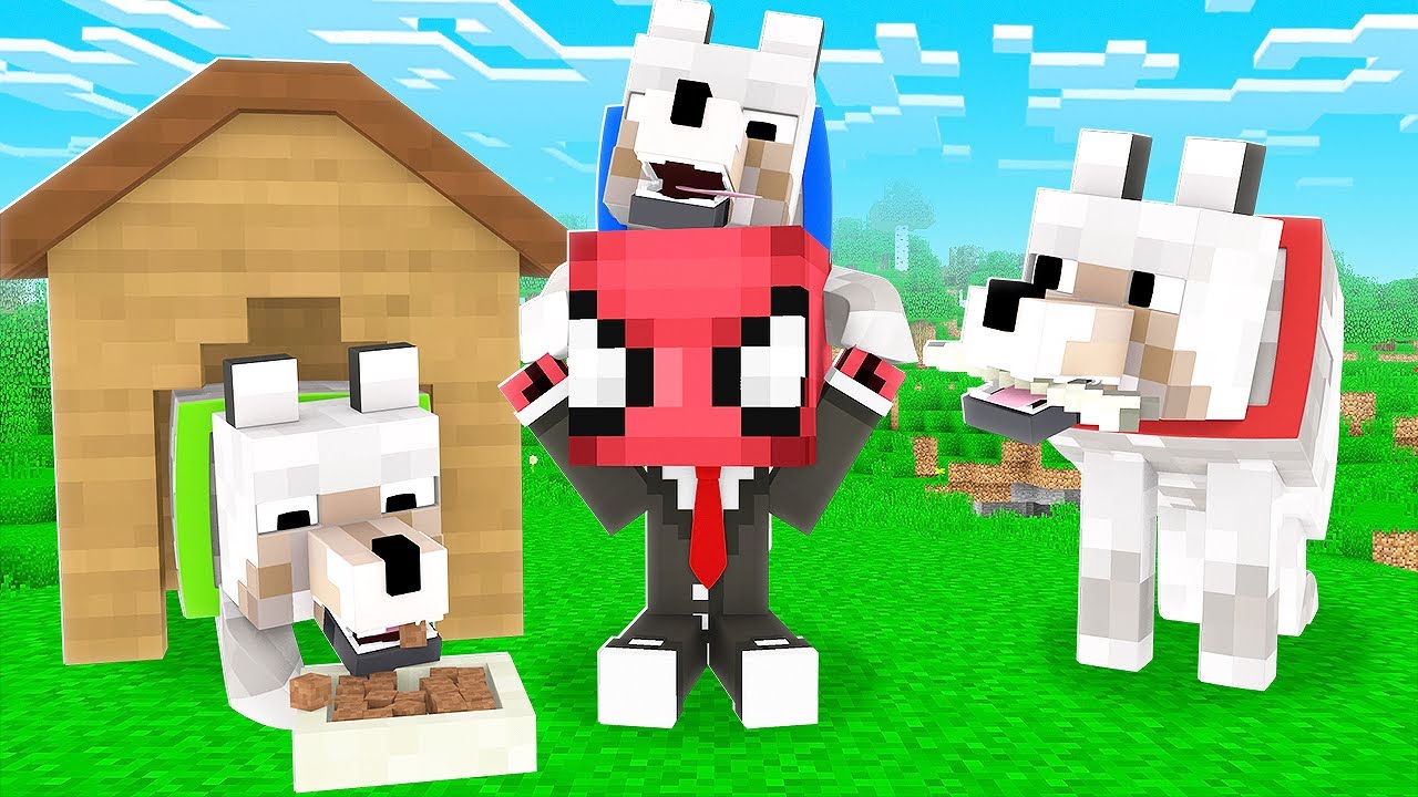 K&Ouml;PEKLER BENİ SAHİPLENDİ 🐕 - Minecraft