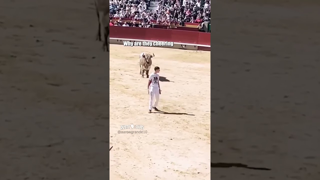 Это чушь 🎥: aarongrande10 (IG) #шорты