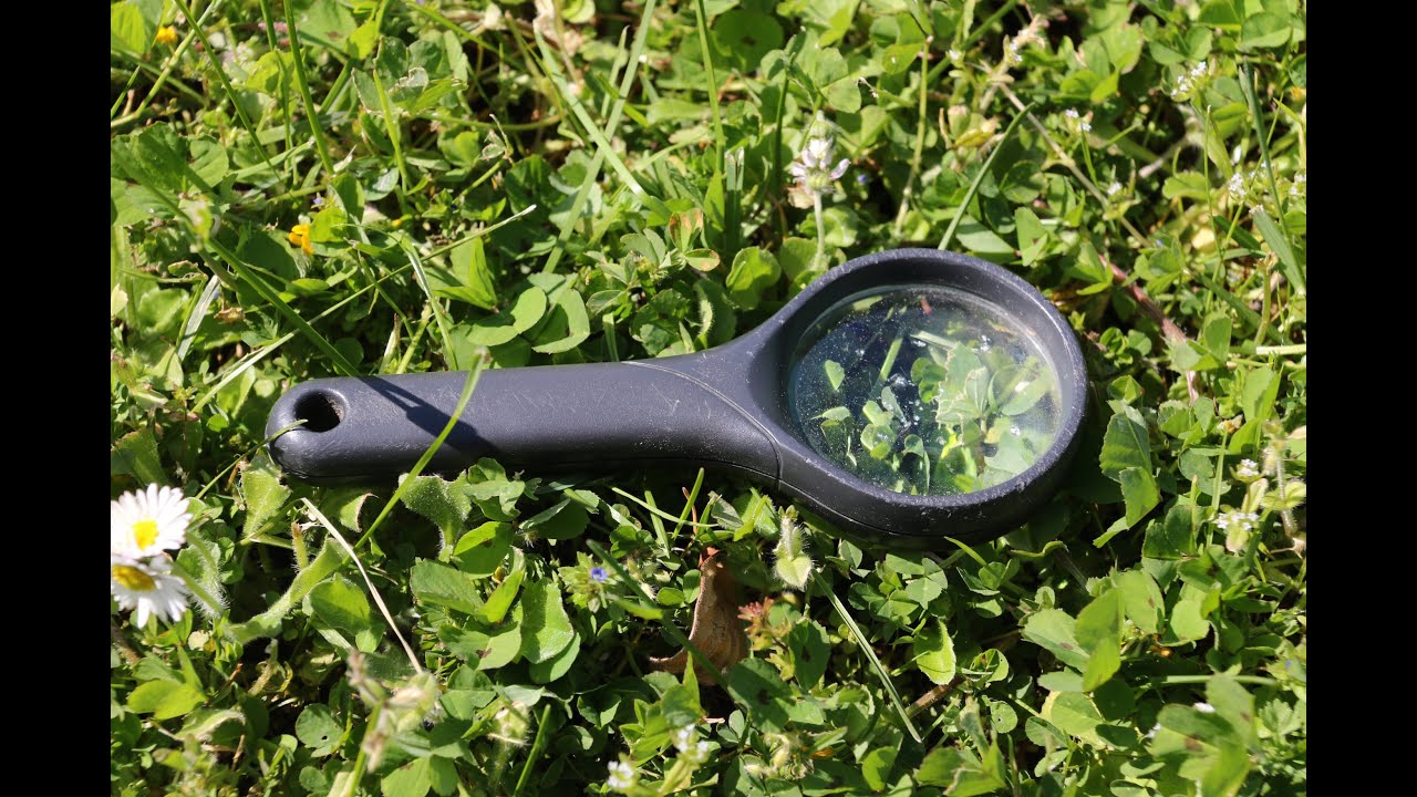 Le Feu à la loupe
