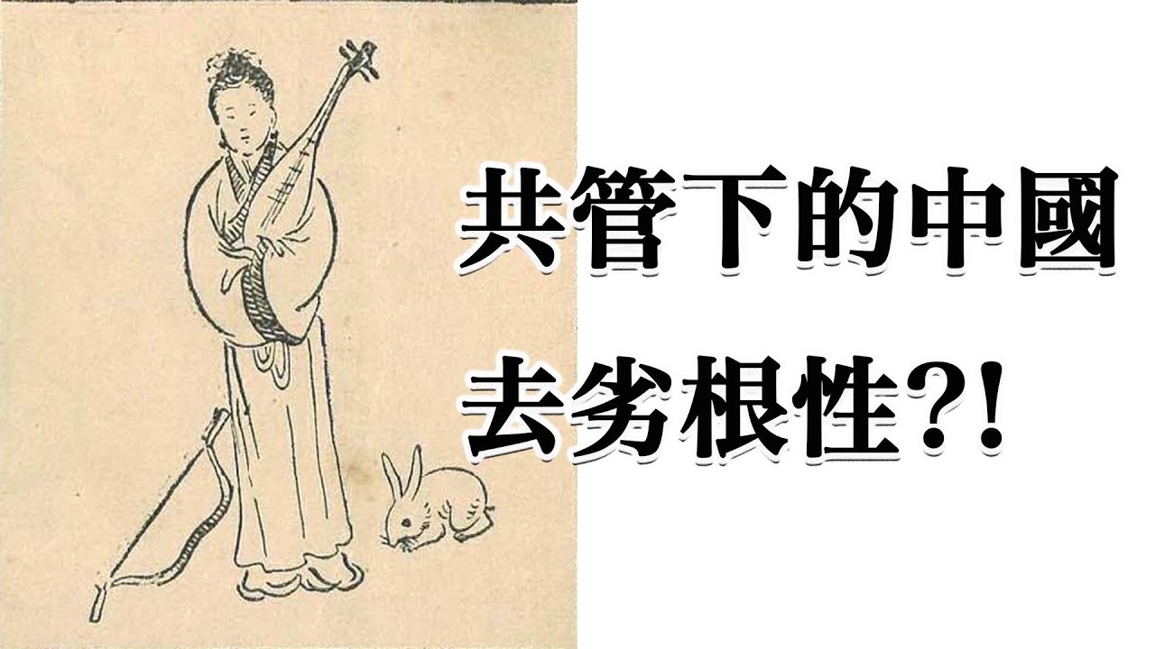48.共管階段中國人民升級！最終誰收割了戰果！聊一聊中國未來的共管之路！