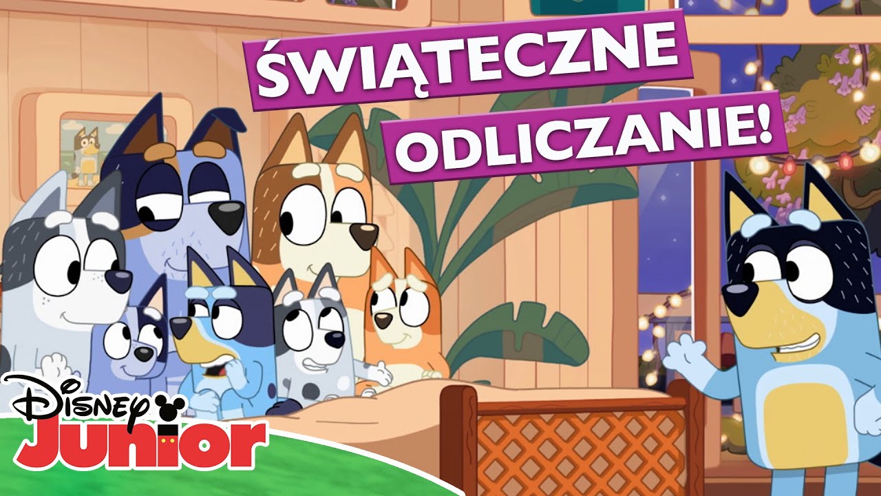 🎉 Świąteczne odliczanie &ndash; czas, start! | T.O.T.S., Blue, Pidżamersi | Disney Junior Polska